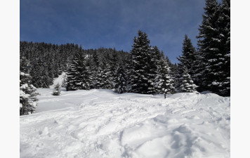 sortie 5 du mercredi 4 fevrier