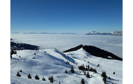 Derniere sortie et gouter à venir - SONDAGES  -
